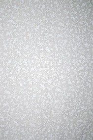355-010.jpg