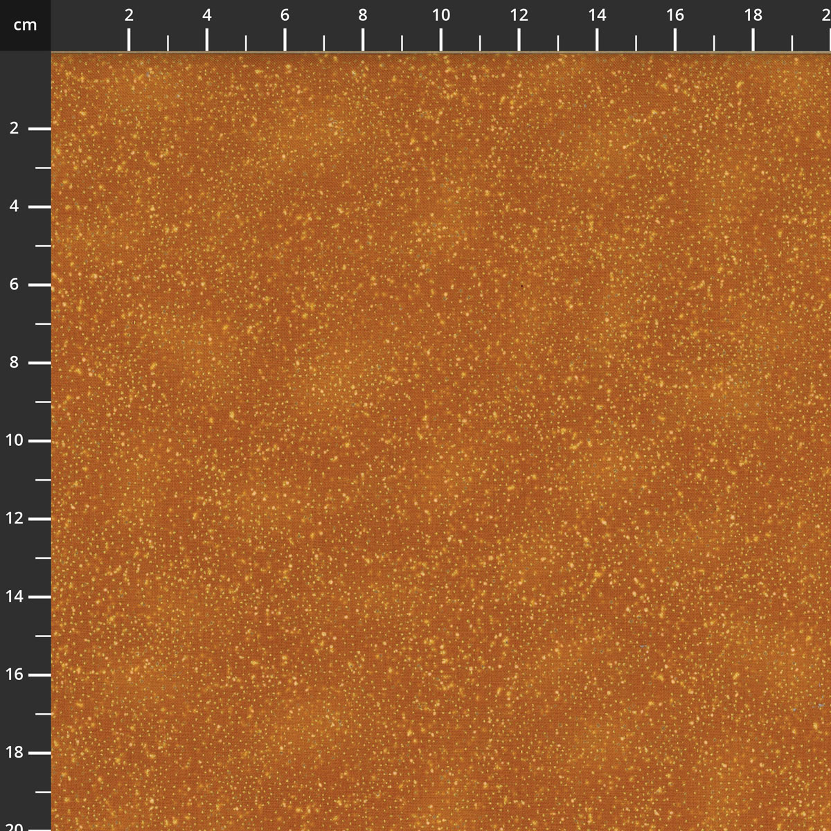 3021-003.jpg