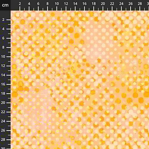 7056-508.jpg