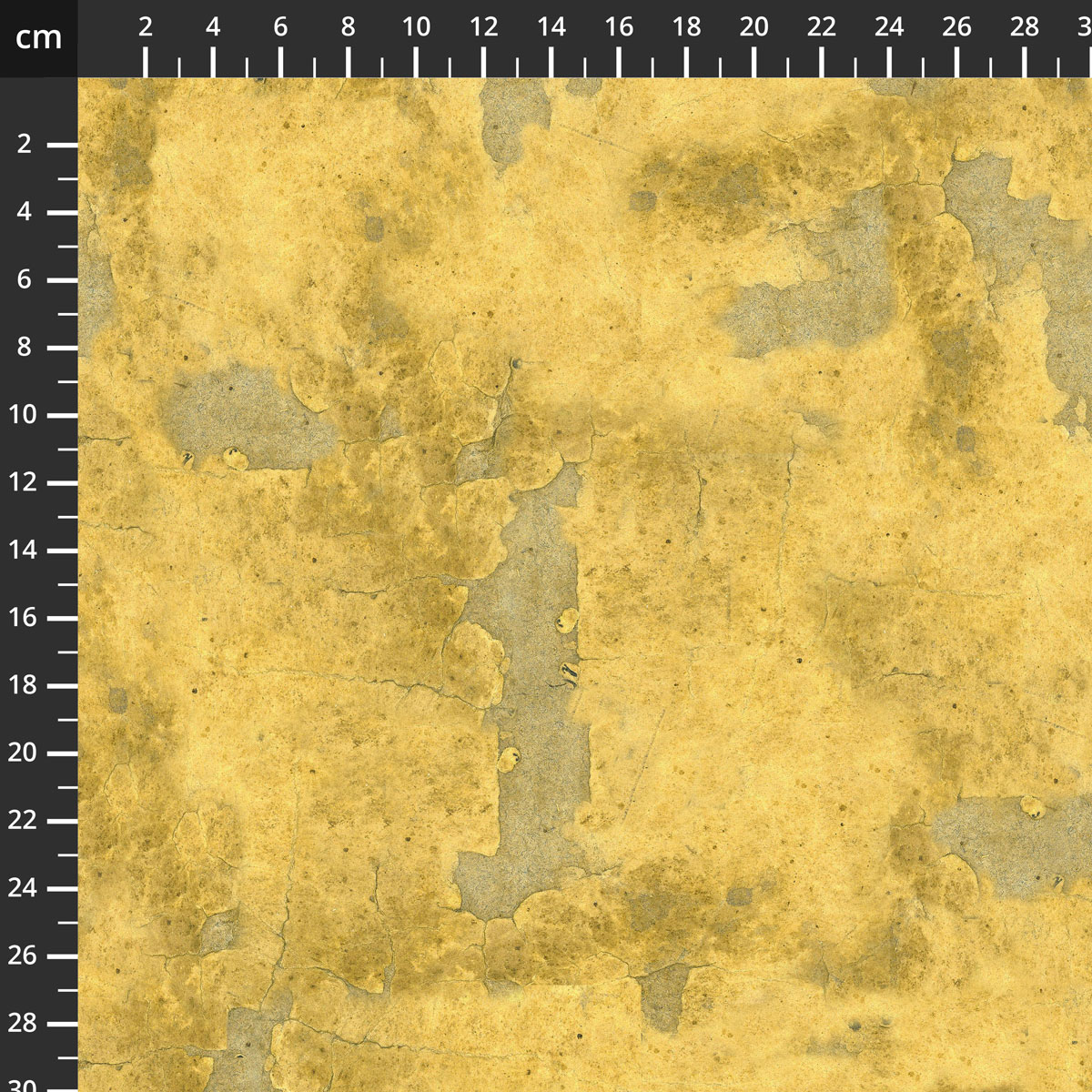 7056-570.jpg