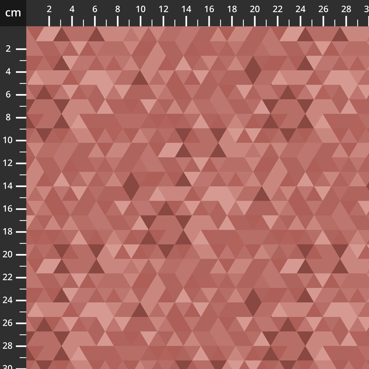 4707-779.jpg