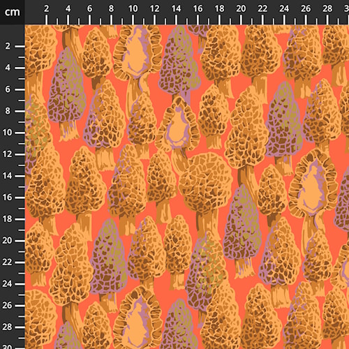 PWMN073.CORAL.jpg