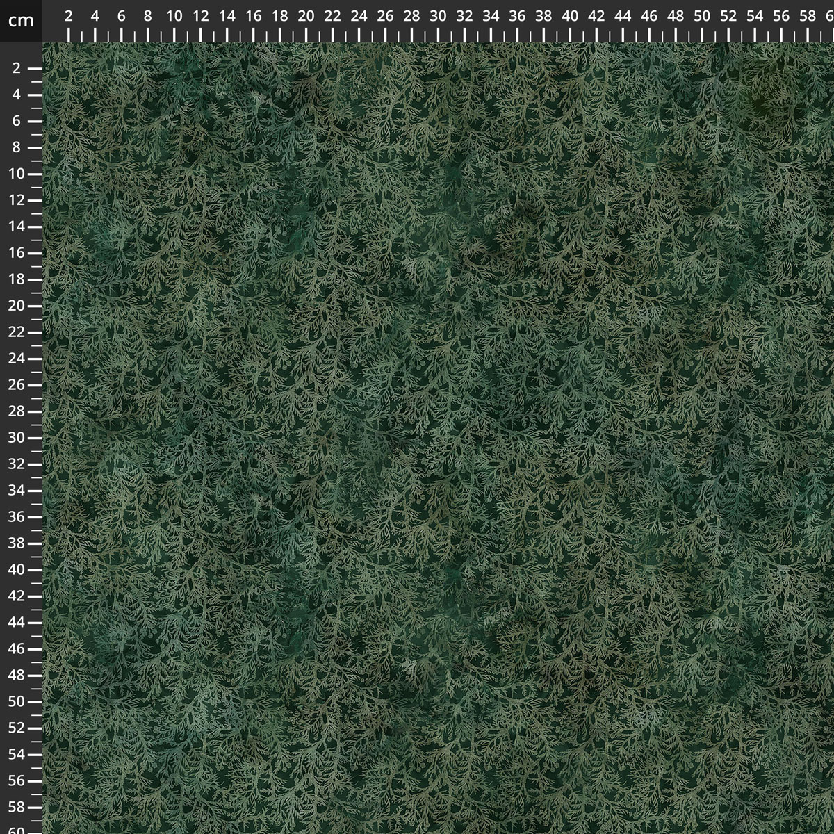 DP29159-79.jpg