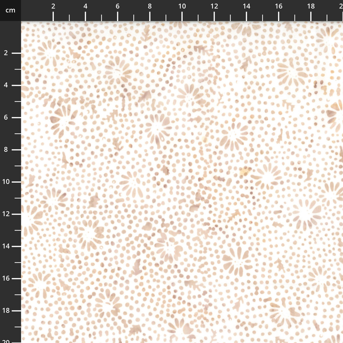 3386-104.jpg
