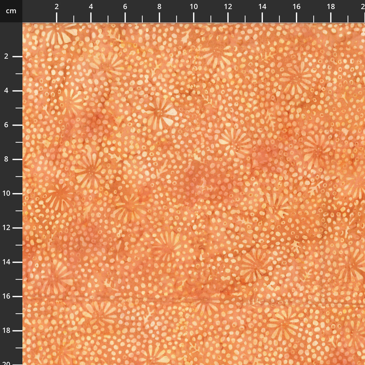 3386-210.jpg