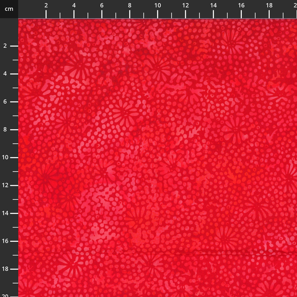 3386-400.jpg