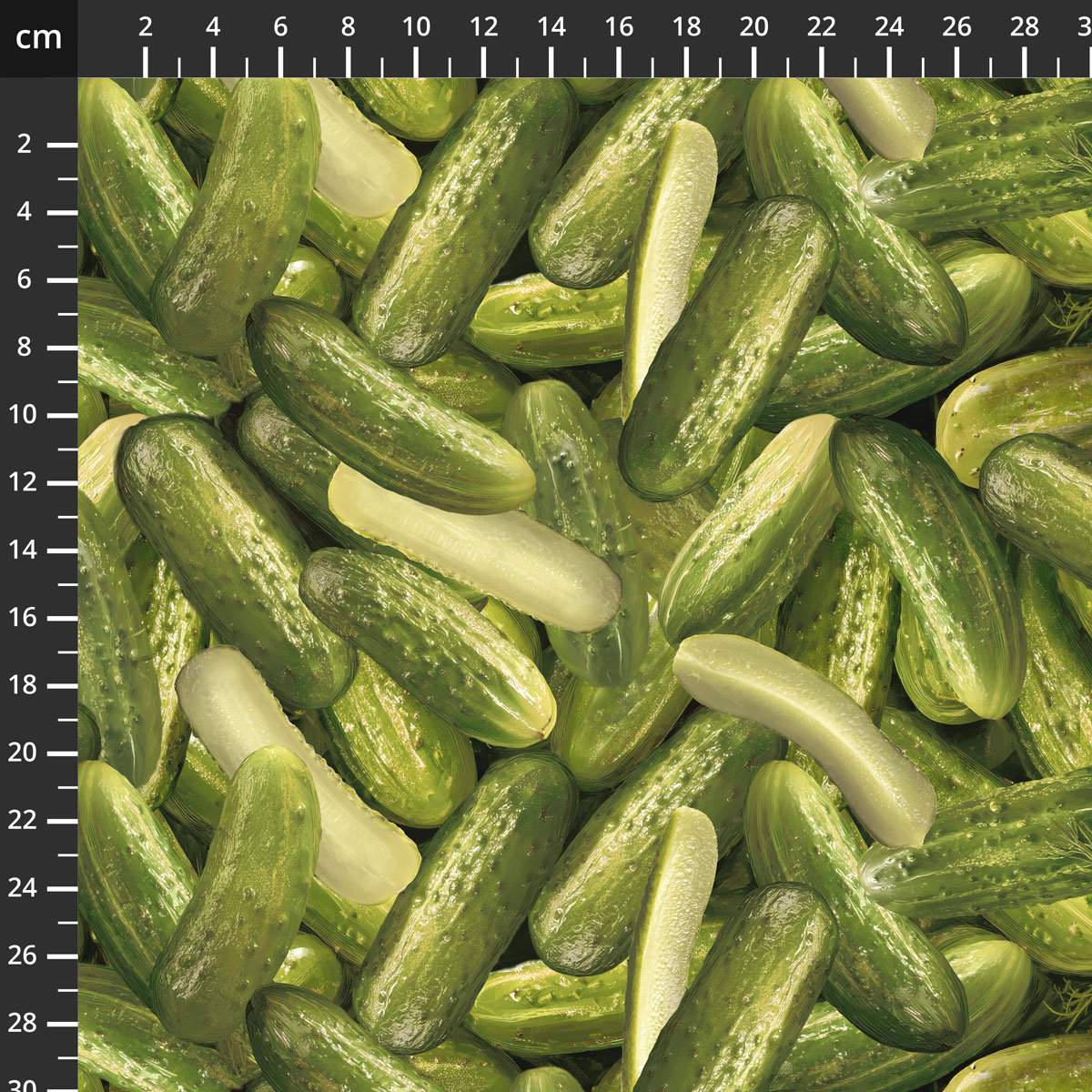 55559D-1Pickle.jpg