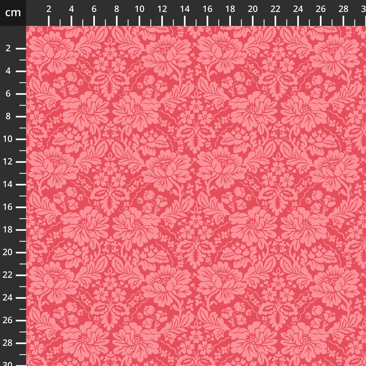 55587-4Coral.jpg