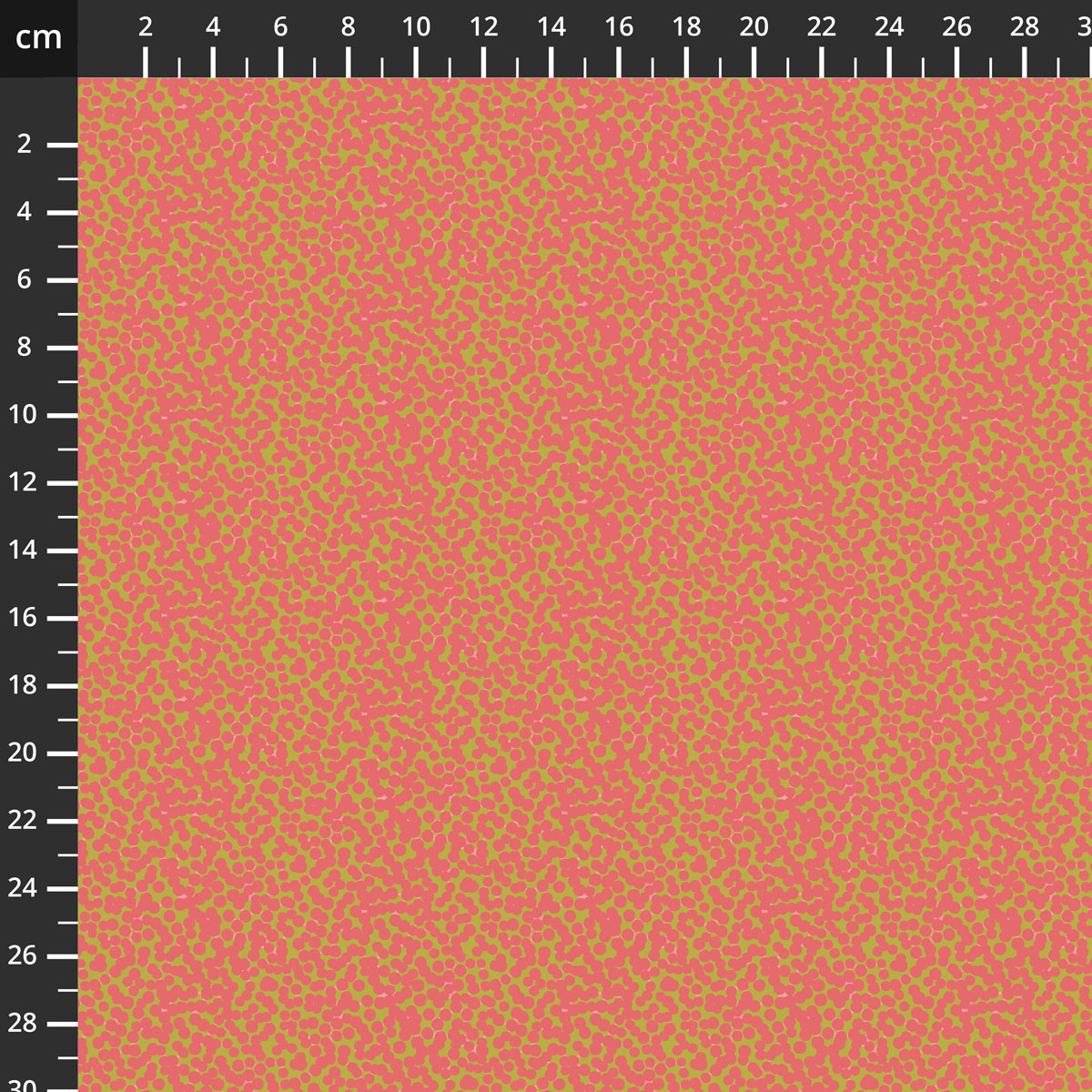 55589-4Coral.jpg