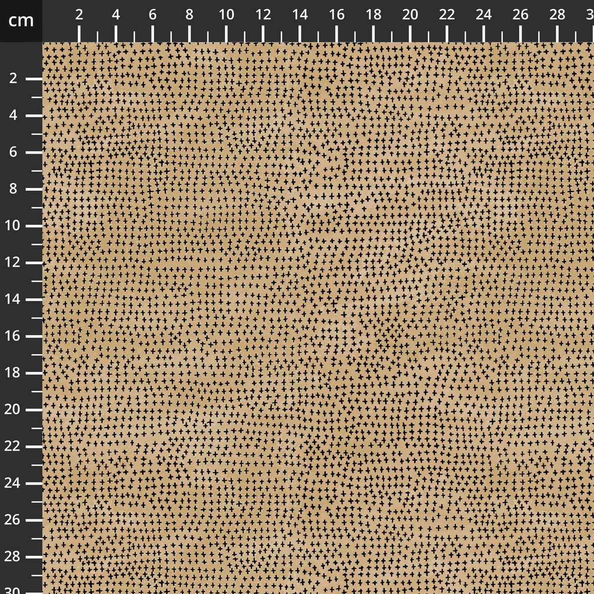 55651-8Biscuit.jpg