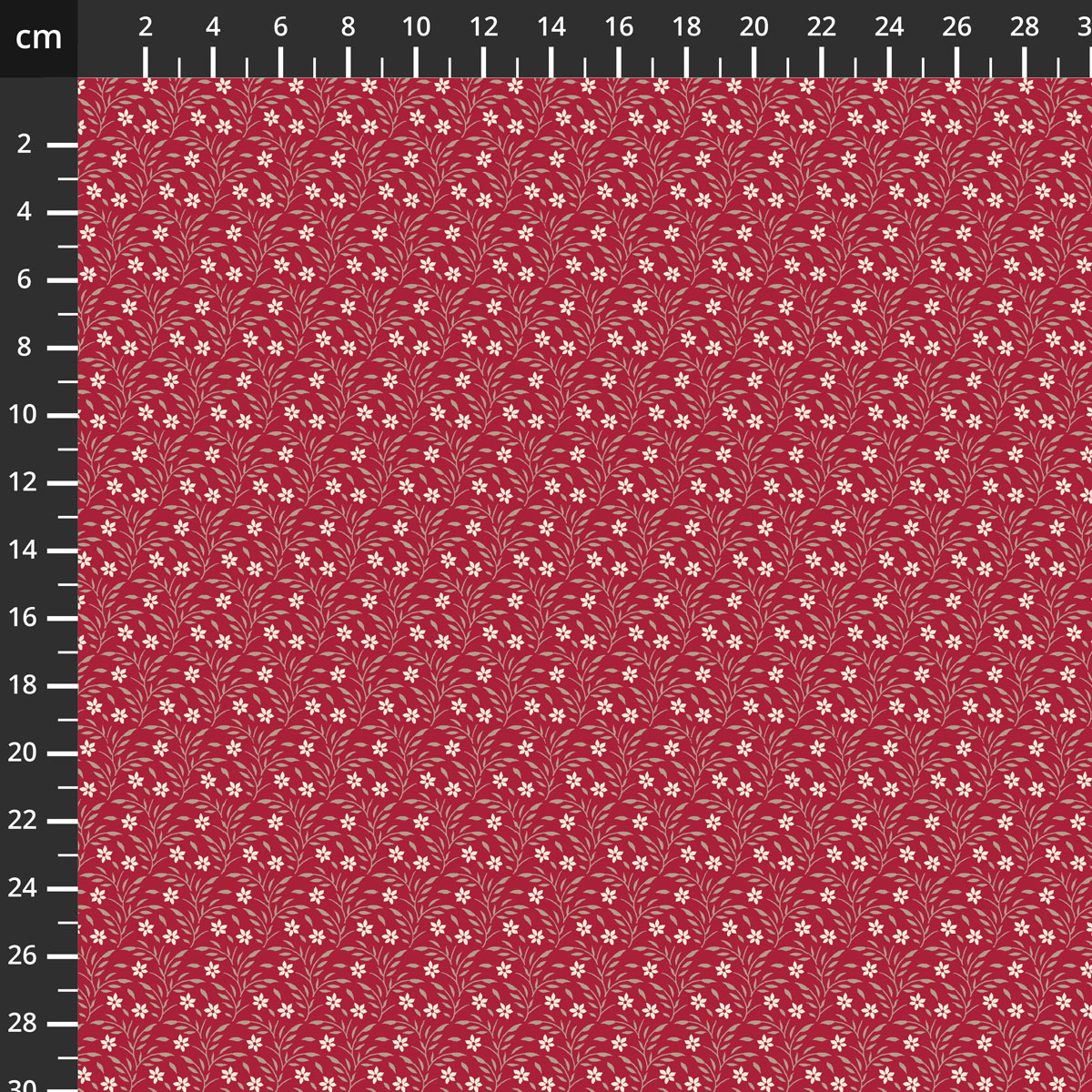 55524-1Red.jpg