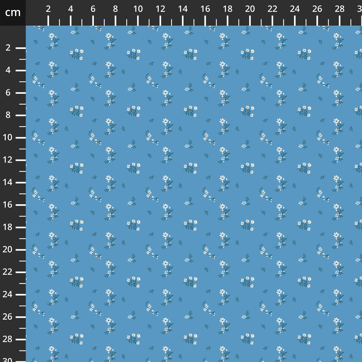 C18746-BLUE.jpg