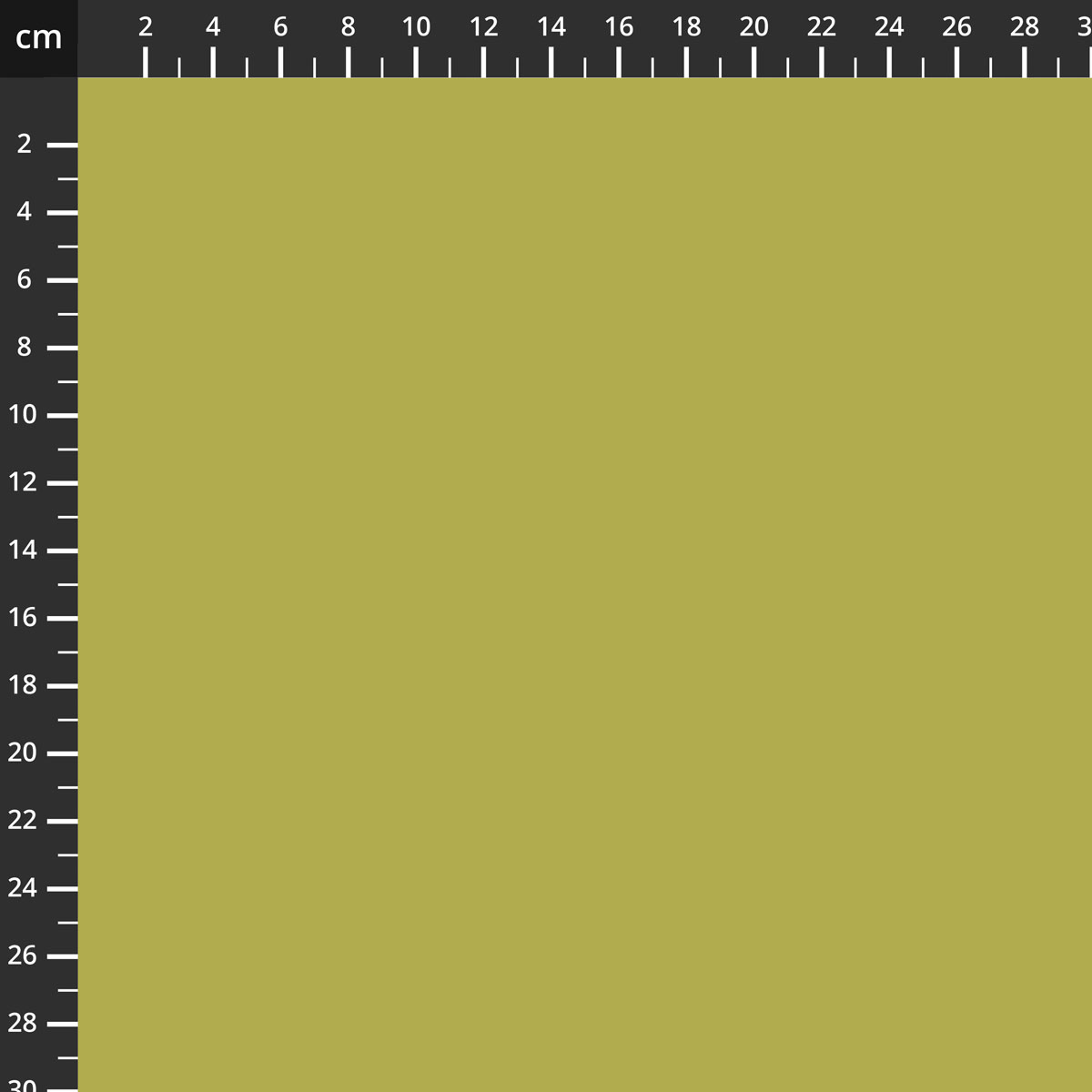 C120-ASPARAGUS.jpg