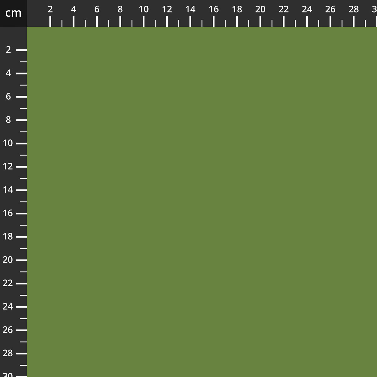 C120-BASIL.jpg