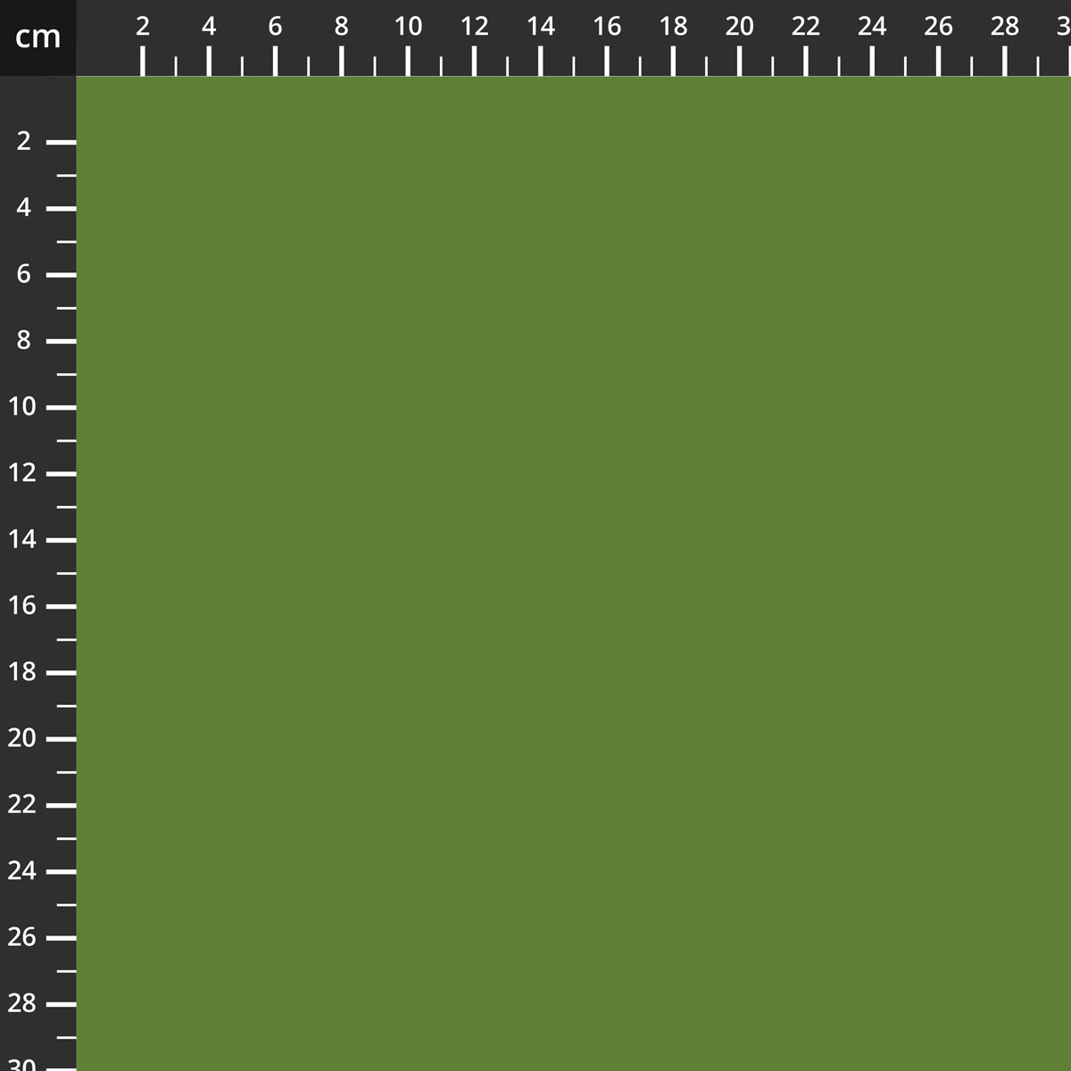 C120-LILYPAD.jpg