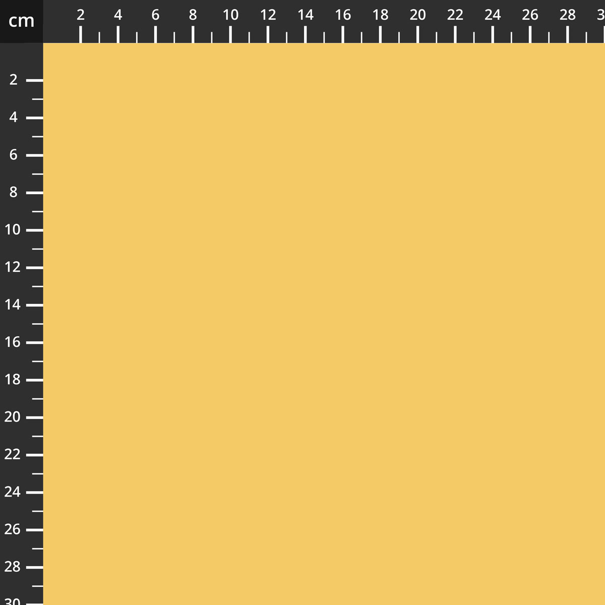 C120-RILEYYELLOW.jpg