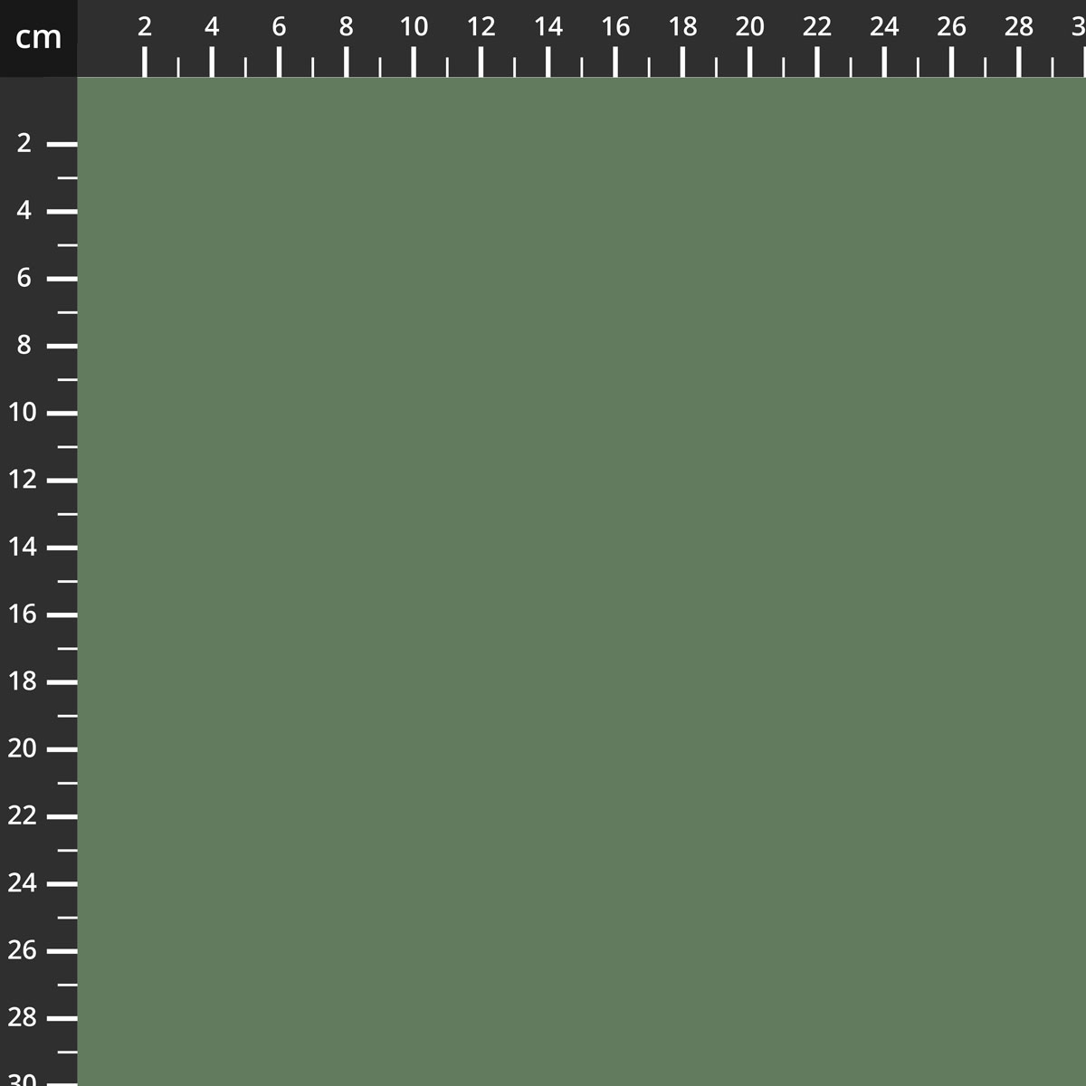 C120-CHIVE.jpg