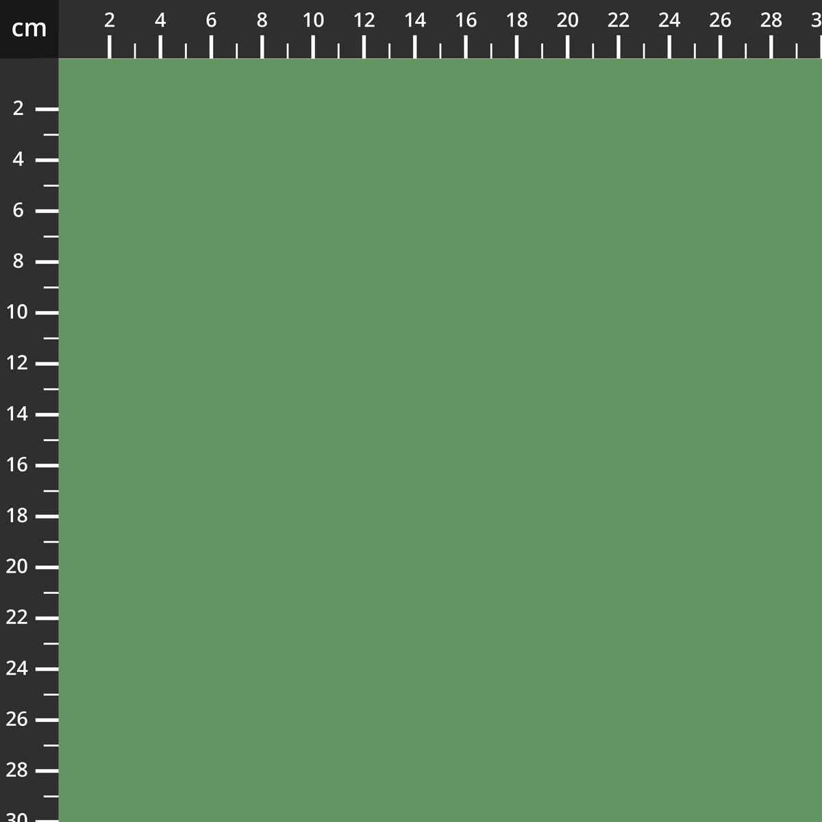 C120-CLOVER.jpg