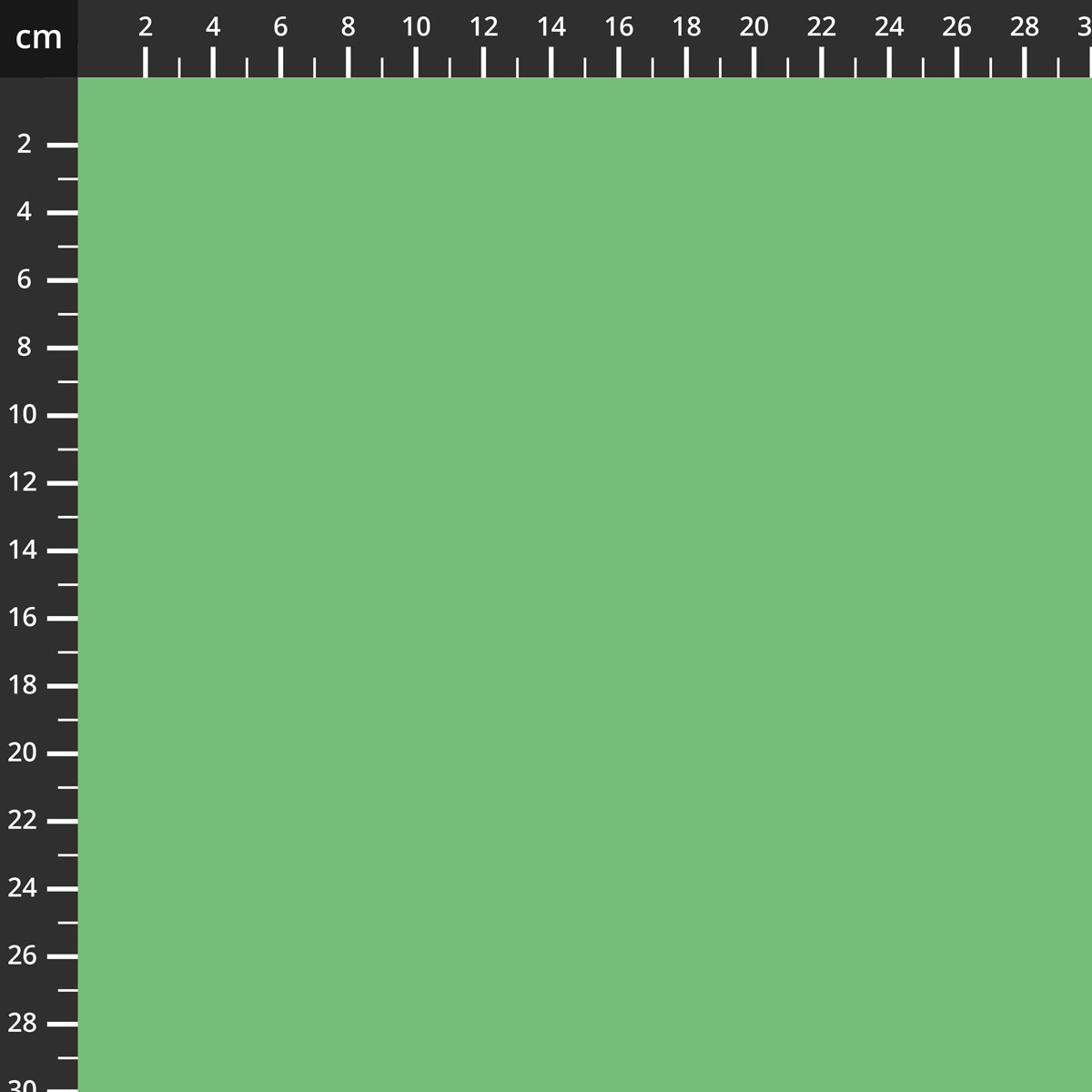 C120-GRASS.jpg