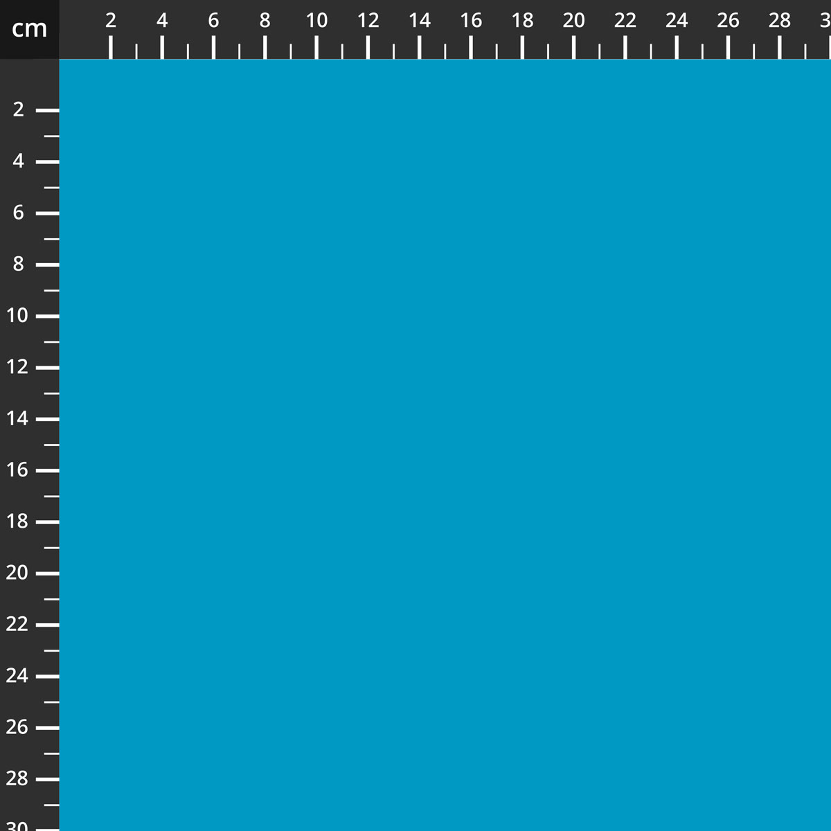 C120-TURQUOISE.jpg