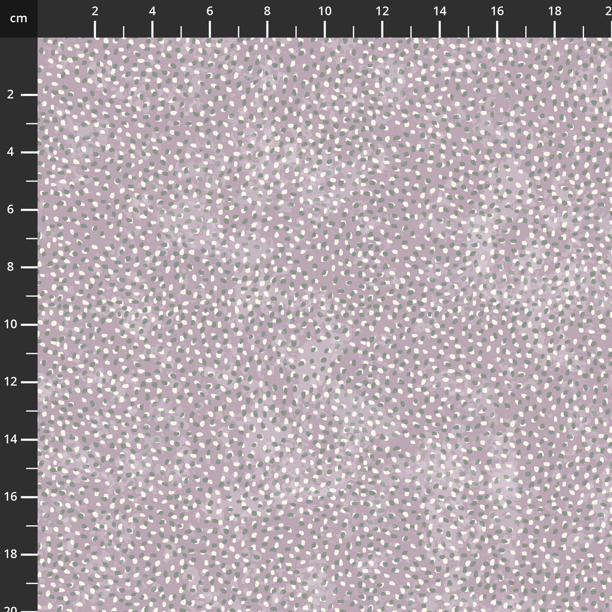 2955-52.jpg