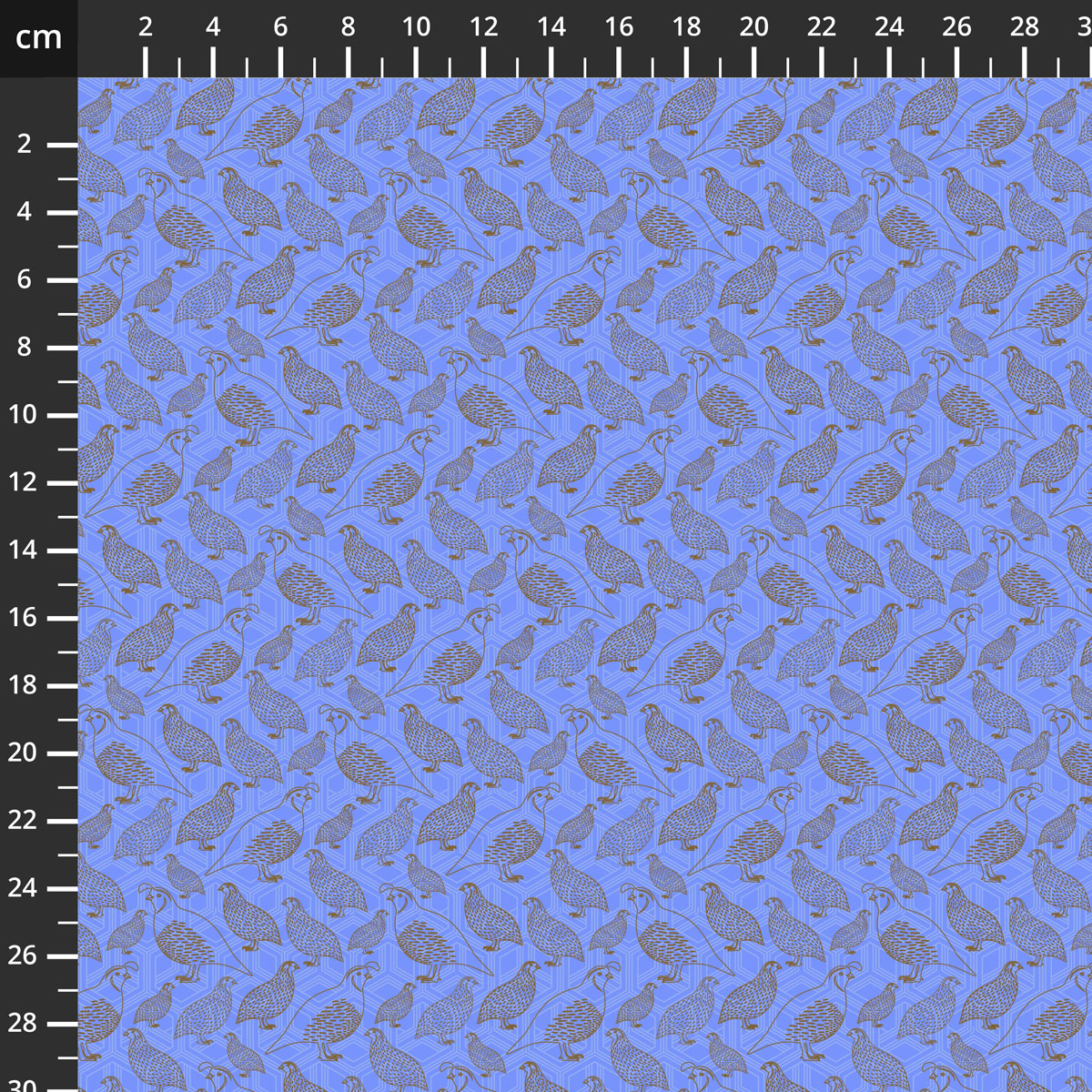 PWSK118.FOREST.jpg