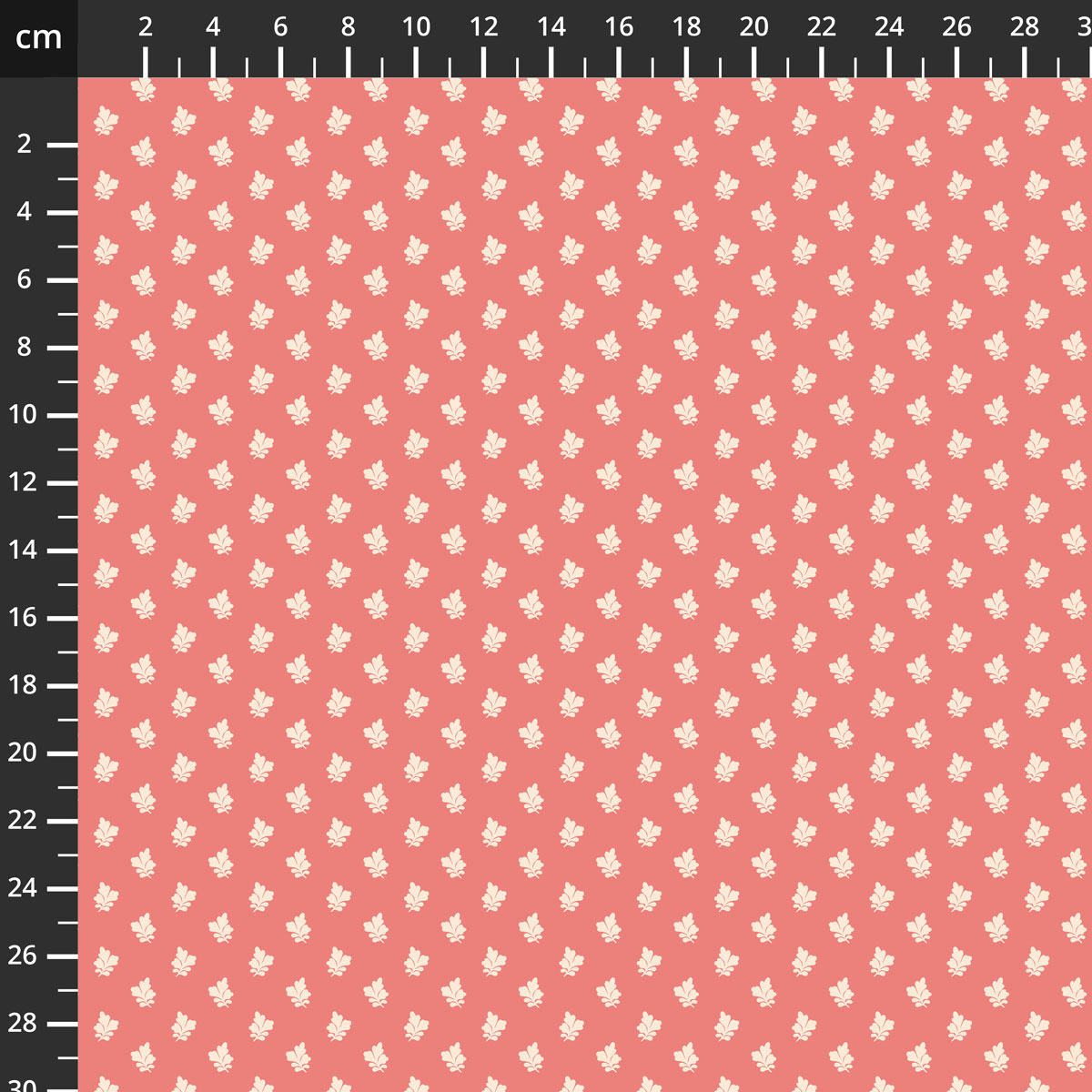 C12824-LUCY.jpg