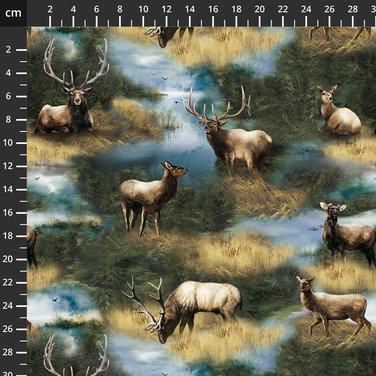 55035D-1Meadow.jpg
