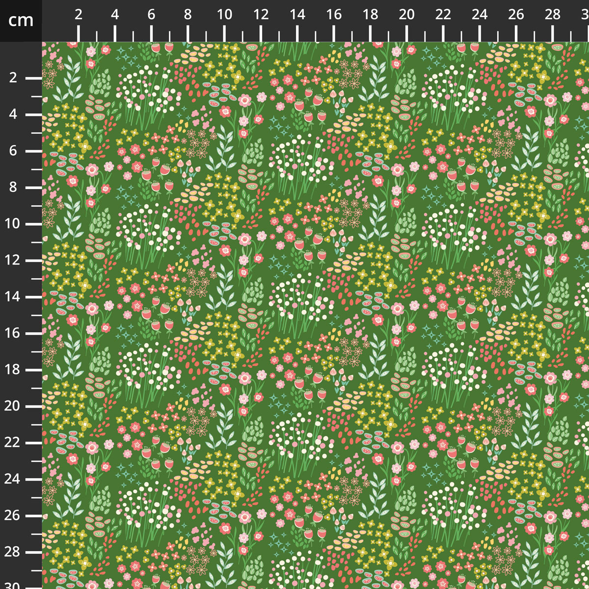 C19034-HOLLY.jpg