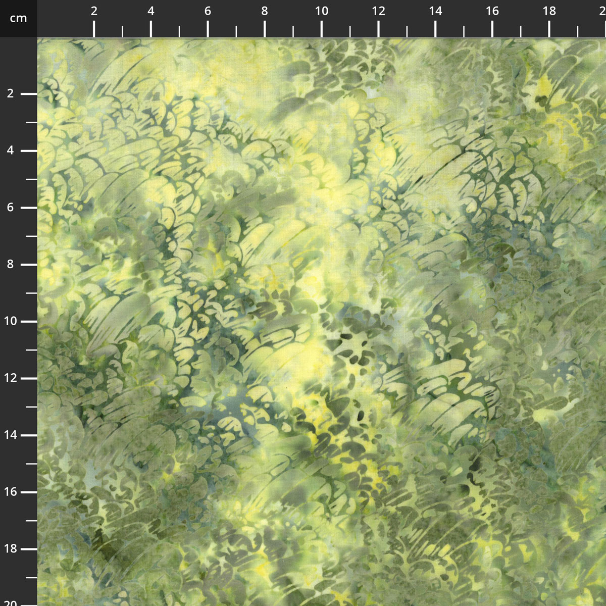 3387-810.jpg