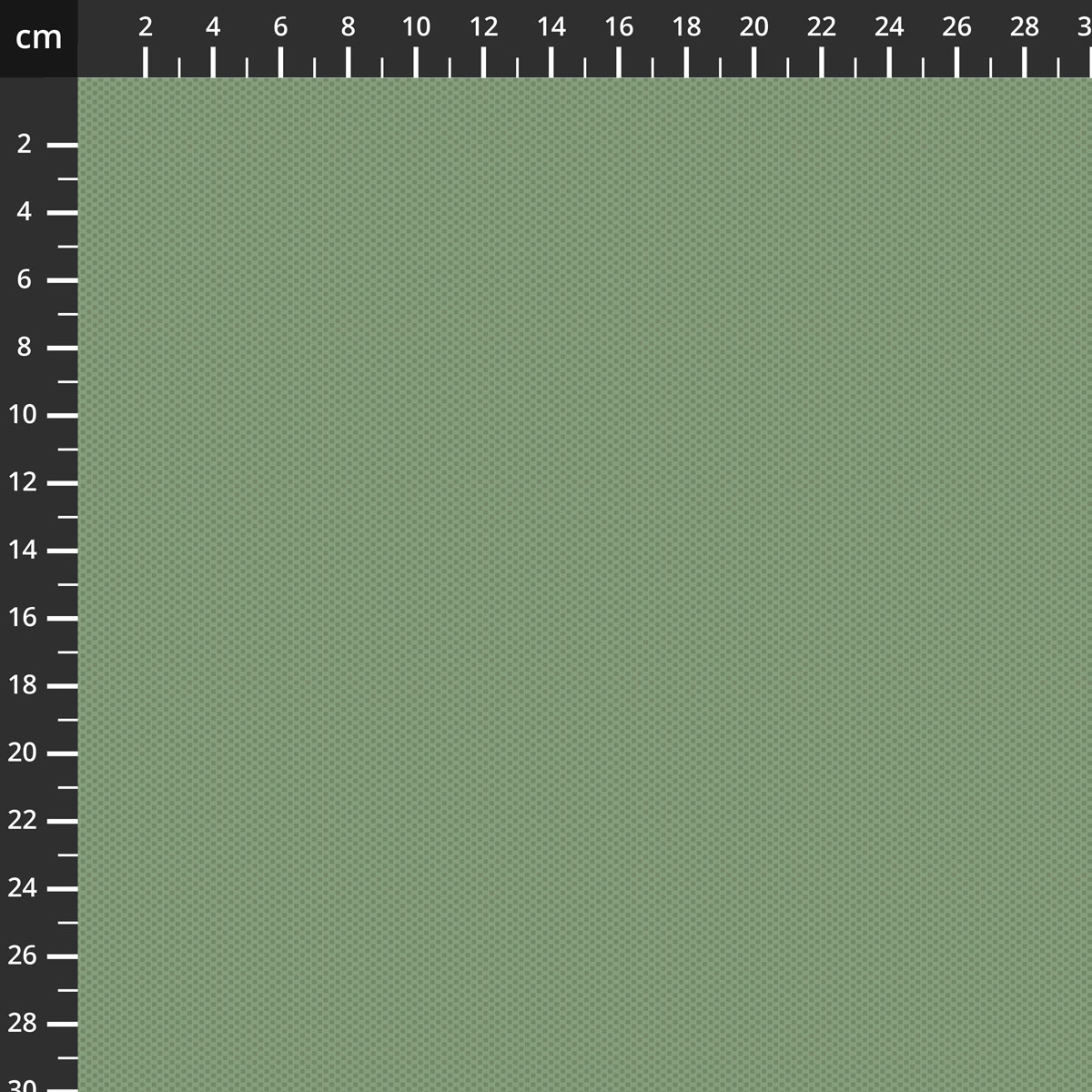 C805-LODGEPOLE.jpg