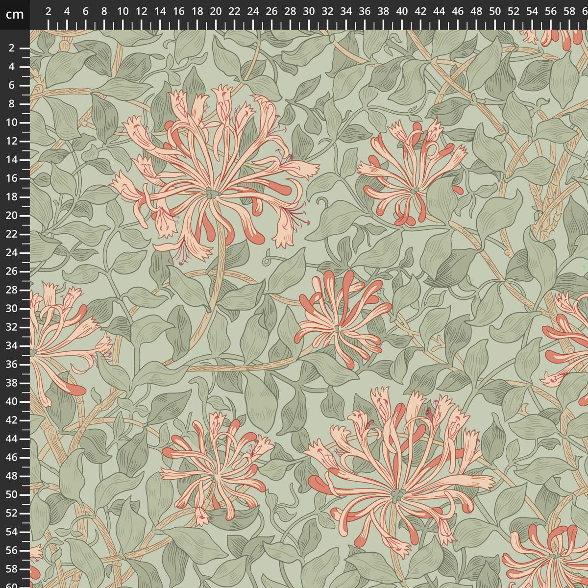 QBWM016.CORAL.jpg