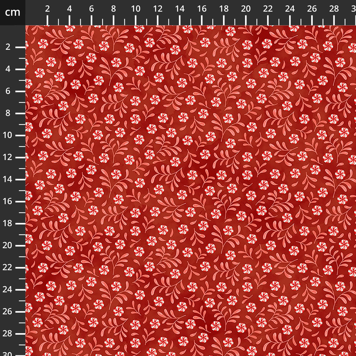 29755-24.jpg