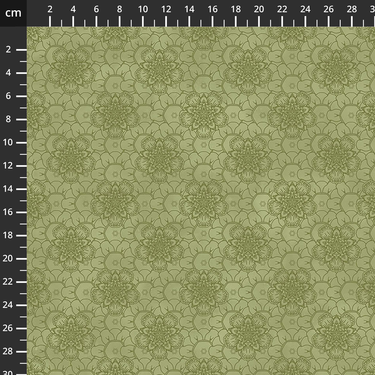 29793-74.jpg
