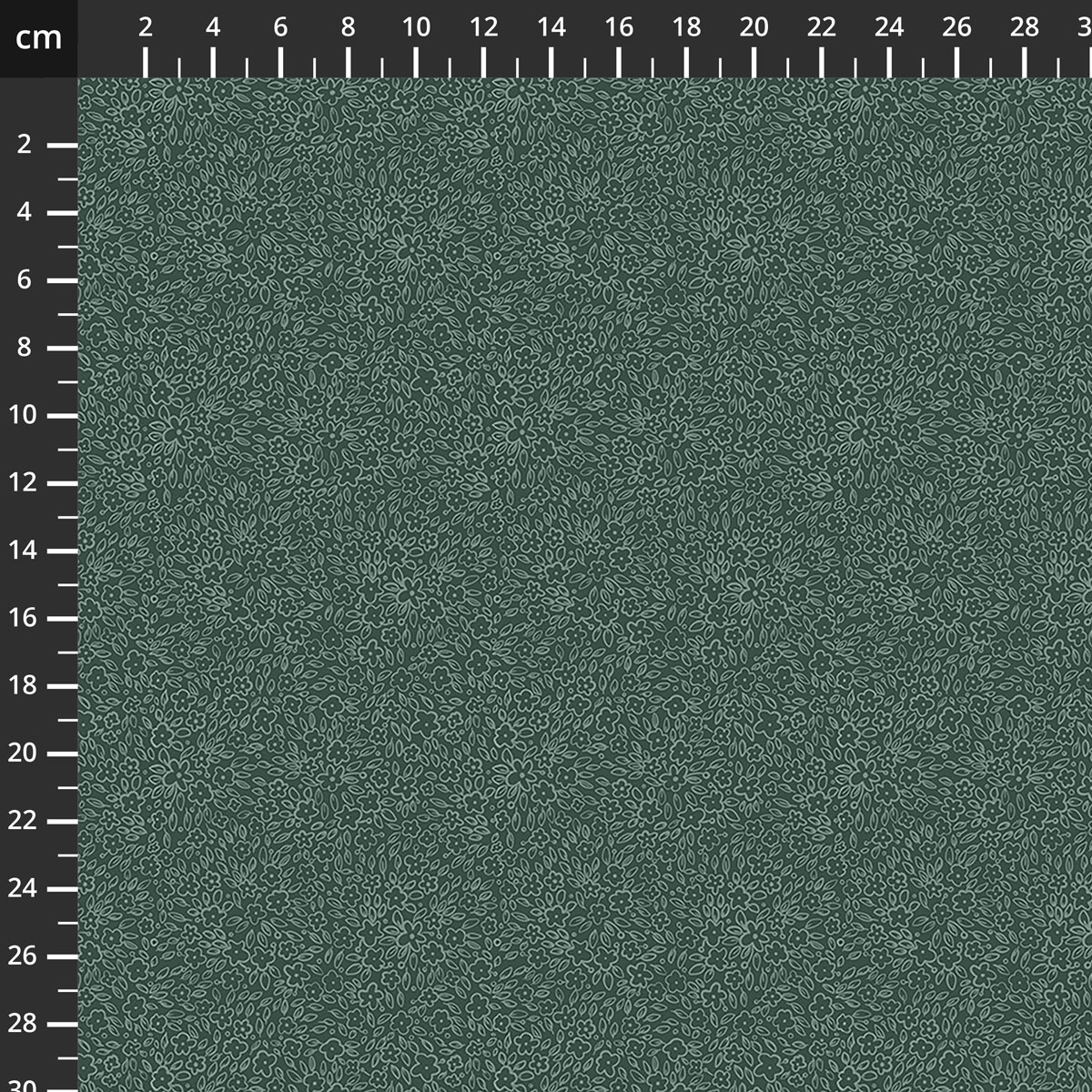 CD91519-76.jpg