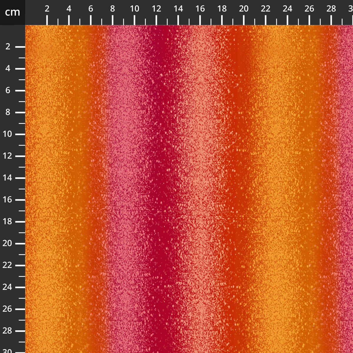 3906-479.jpg