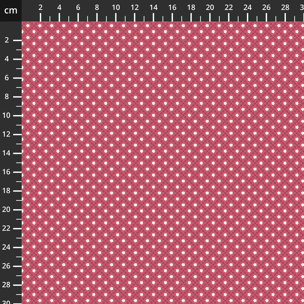C19437-RASPBERRY.jpg